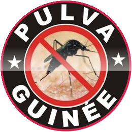 PULVA Guinée