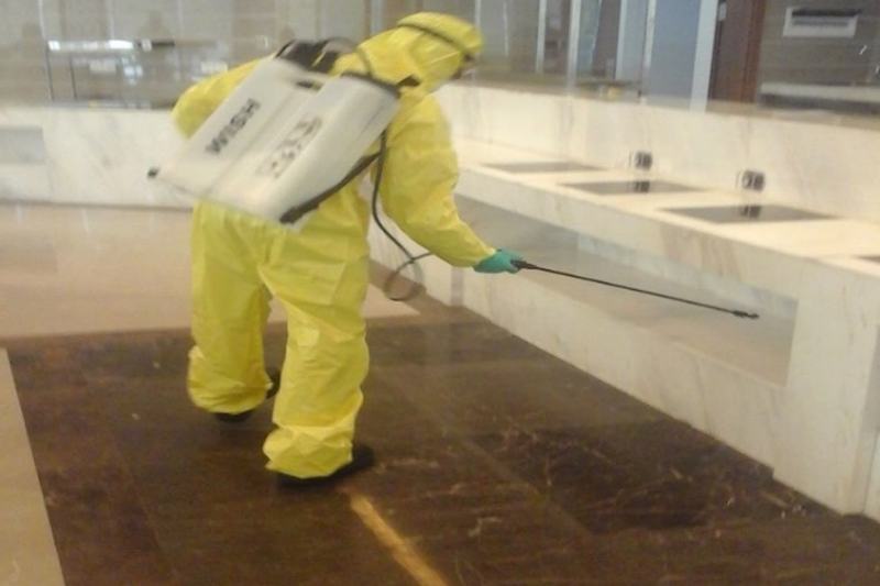 Traitement insecticide localisé dans un hall d’accueil